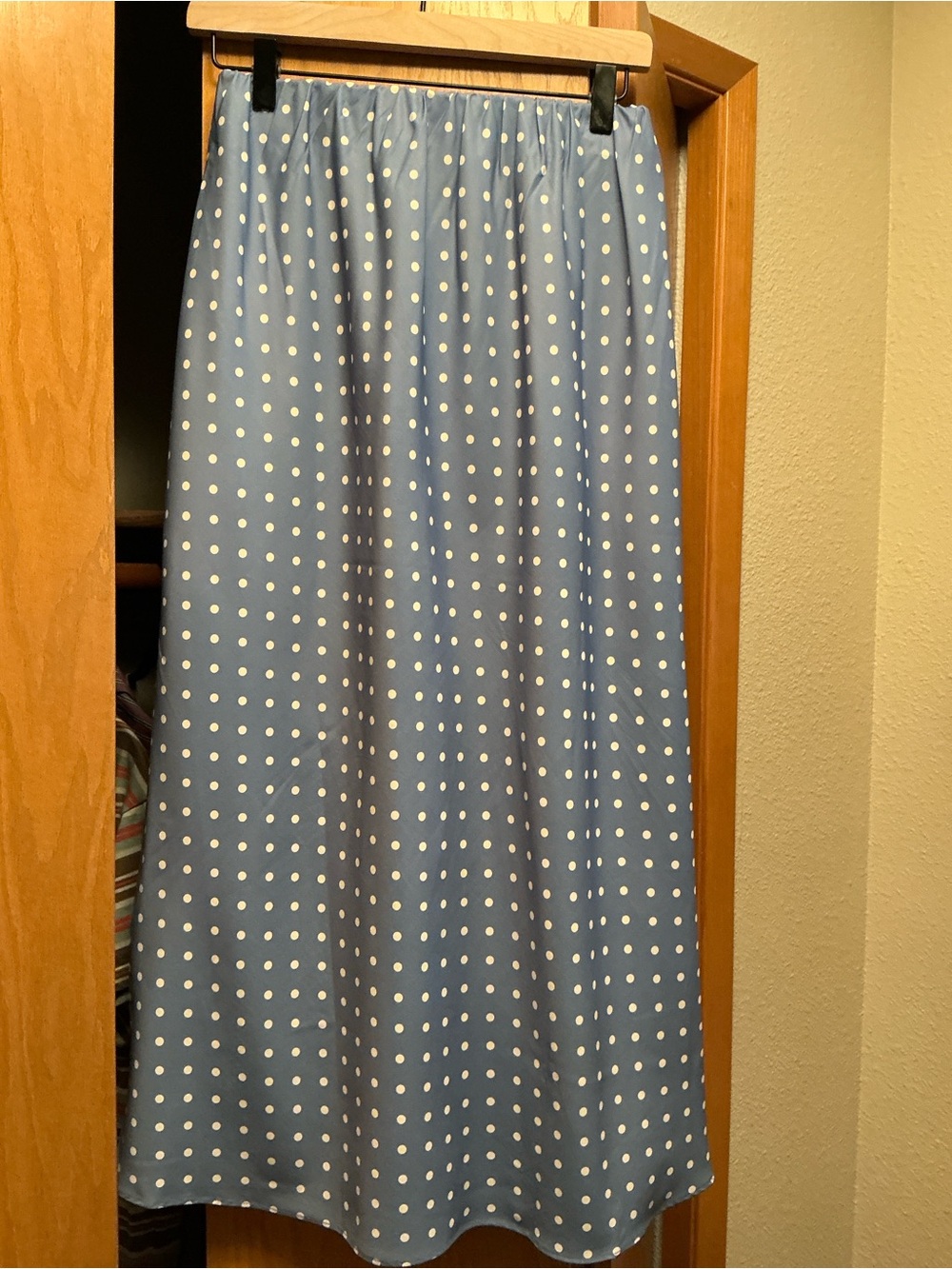 Wish Blue Polka Dot Maxi Skirt - Picture 3 of 3